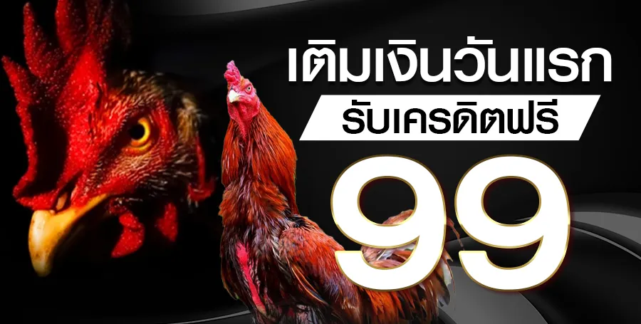 เว็บตรงพนัน โปรโมชั่น